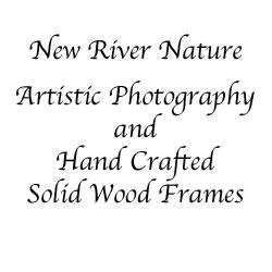 New River Nature - Featured Guest Artists At Gunpowder Springs Artisan Shop